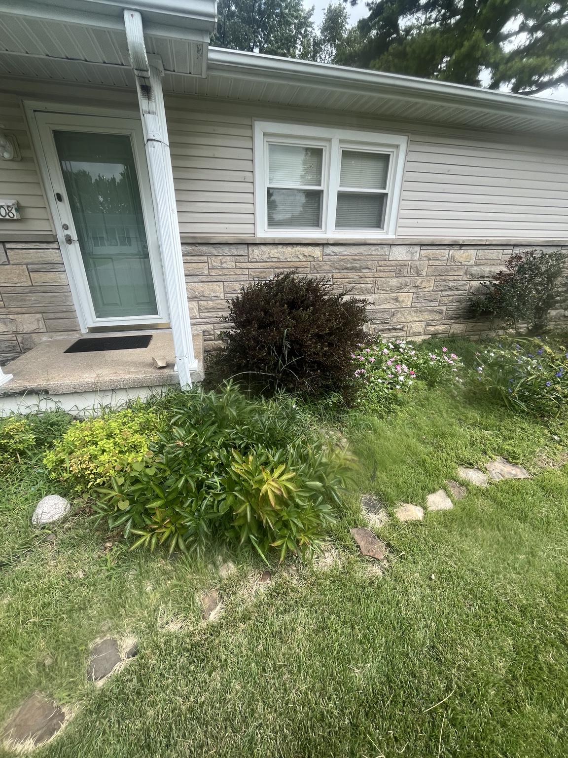 Landscape bed before cleanup and refresh