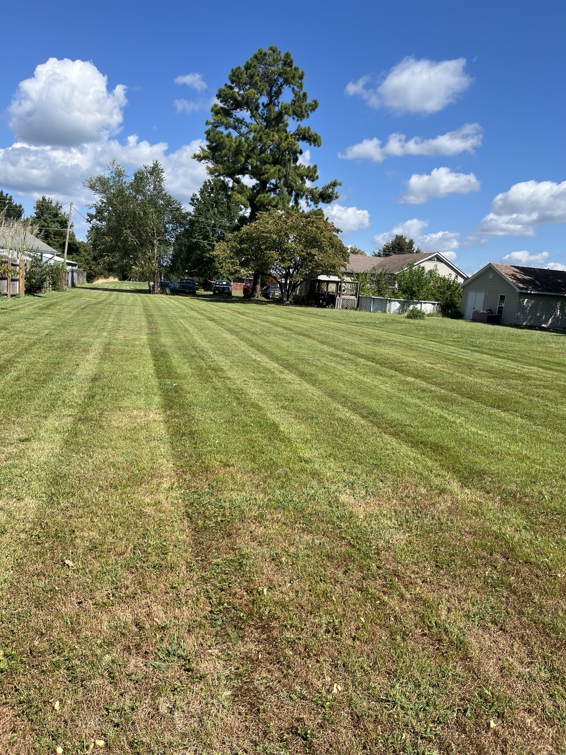 Large freshly mowed striped lawn